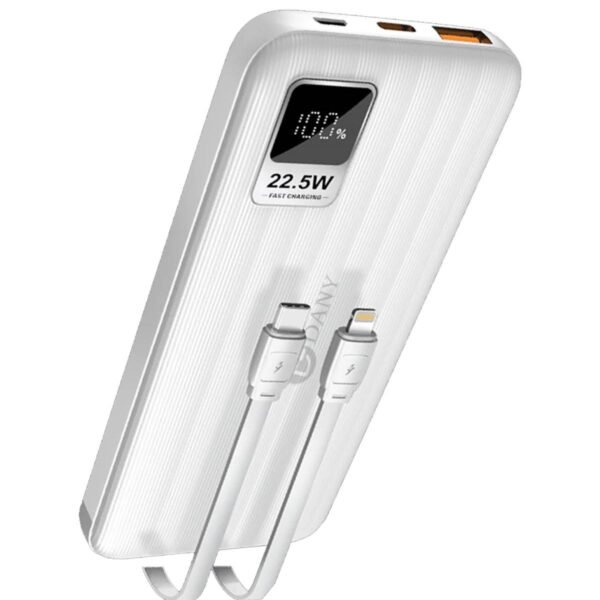 Dany Flash F-10 Power bank 10000 mAh - Image 2